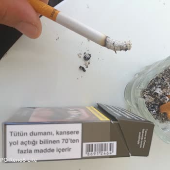 Philip Morris İçinden Ağaç Çıktı