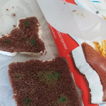 Kinder Süt Dilimi Bozuk Ve Küflenmiş