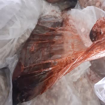 Uğur Soğutma Derin Dondurucu Arızası Gideriliyor