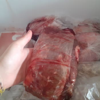 Uğur Soğutma Derin Dondurucu Arızası Gideriliyor