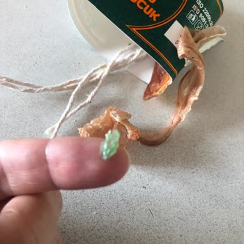 Köfteci Yusuf Sucuktan Poşet Çıktı