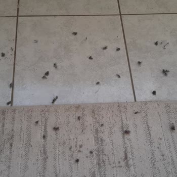 Yataş Çift Kişilik Pike