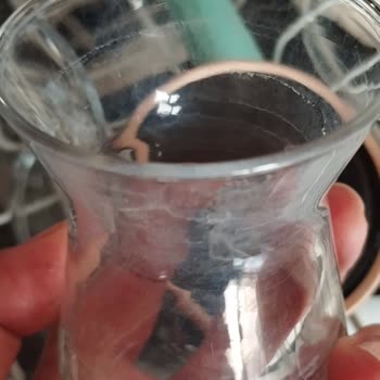 Vestfrost Bulaşık Makinesinin Temizlememesi