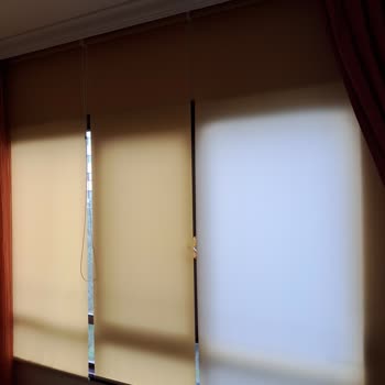 Paris Halı Yıkama Perde Yıkama Mağduriyeti