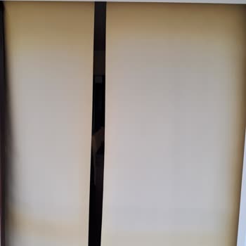 Paris Halı Yıkama Perde Yıkama Mağduriyeti