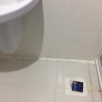 İş Bankası İştiraki Hayat Konut Sigortası Ve Lina Global Ekspertiz