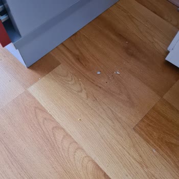 Arçelik Robot Süpürgenin İstenilen Şekilde Çekim Yapmaması