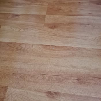 Arçelik Robot Süpürgenin İstenilen Şekilde Çekim Yapmaması