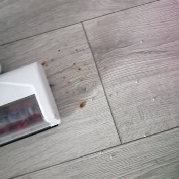 Farg Küçük Ev Aletleri Şarjlı Süpürge Çekmiyor