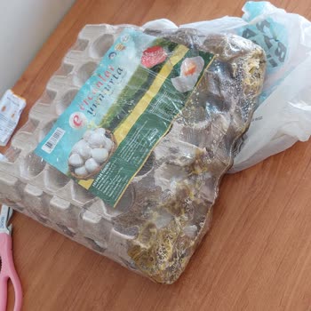 A101 Kapıda Kırık Ürün Ve İade Sorunu