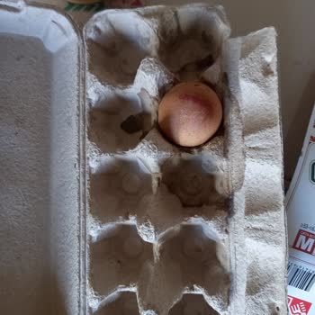 Metro Grossmarket'ten Aldığım İndirimli Ürünlerin Çürük Çıkması!