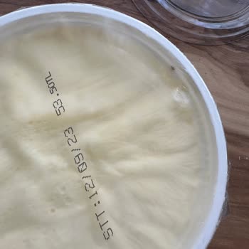 Foça Süt Yoğurt Ürününden Sinek Çıktı