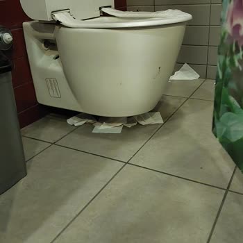 Shell İstasyonunda Tuvalet Kokusu Ve Hijyen Yetersizliği