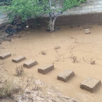 Emsan'dan Aldığım Çeyiz Tencere Seti İçin Koli Desteği Talebi