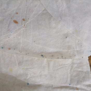 Nimet Gıda Yufka Küflü