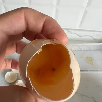 Anadolu Çiftliği Yumurtalar Bozuk Çıktı