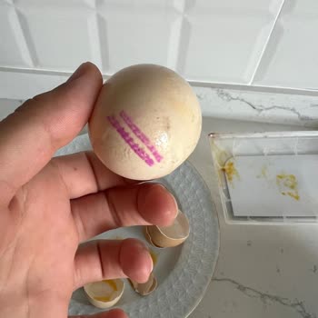 Anadolu Çiftliği Yumurtalar Bozuk Çıktı