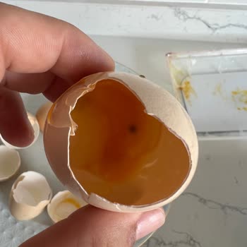 Anadolu Çiftliği Yumurtalar Bozuk Çıktı