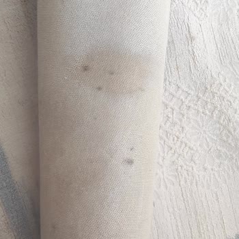 Ekol Halı Yıkama (Antalya) Böyle Bir Acemilik Yok!