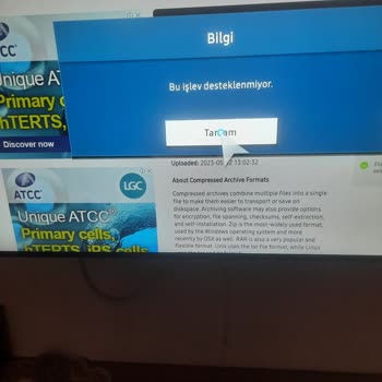 Sunny TV Uygulama Yükleyememe