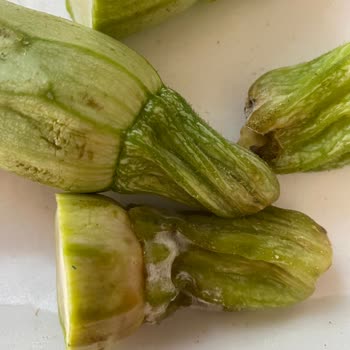 Migros Küflü Ve Ezilmiş Ürün