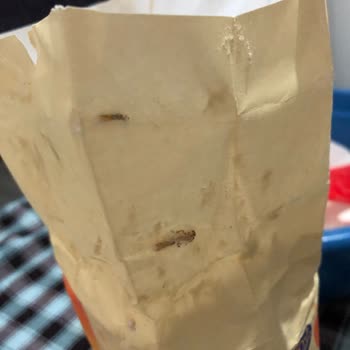 Piyale Markalı Un Böceklenmiş Şok Market Satmaya Devam Ediyorlar