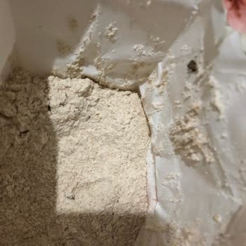 Piyale Markalı Un Böceklenmiş Şok Market Satmaya Devam Ediyorlar