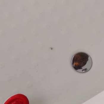 Hello Villam Kiraladığımız Bungalov Otel Hayal Kırıklığı