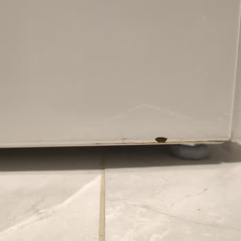 Bosch Çamaşır Makinesi Paslanması