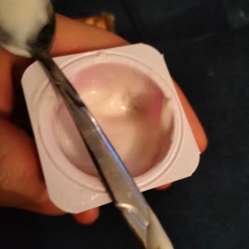 Danone Meyveli Yoğurt Böcek Gibi Şeyler Çıktı