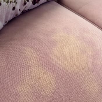 Limon Koltuk Koltuğumu Çamaşır Suyu Yaptı Mağduriyetimi Gidermediler