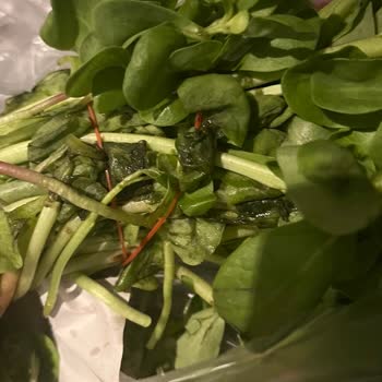 Carrefour SA Davutpaşa Solmuş, Çürük Bayat Yeşillik Satıyor.