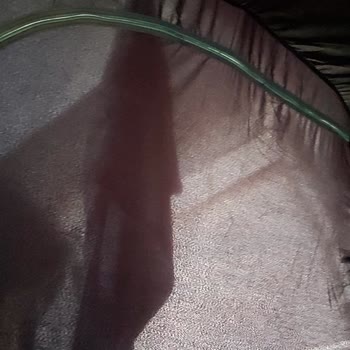 Decathlon Arpenaz 4.2 FB Çadır