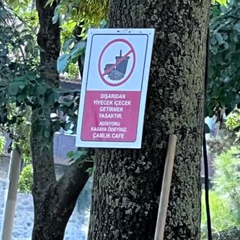 Bakırköy Belediyesi Reno Park Piknik Alanımız