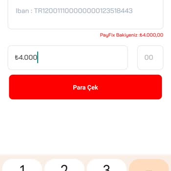 PayFix Para Çekim Talebi Onaylamıyor
