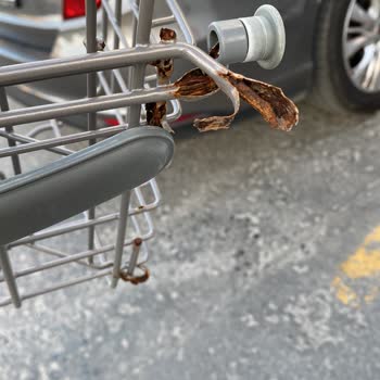 Teka Paslanan Ve Kopan Bulaşık Makinesi Sepeti Fahiş Fiyat Talebi