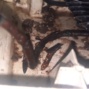 Arçelik Servis Hatasından Gaz Borusu Çürüyerek Patladı