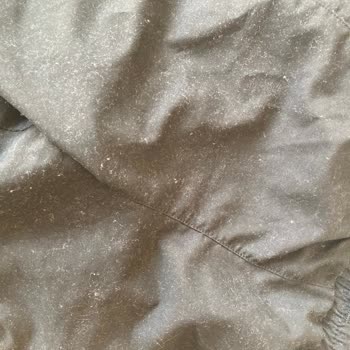 LCW Mağazasından Aldığım Şortta Sorun