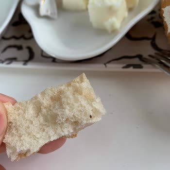 İBB - İstanbul Büyükşehir Belediyesi Halk Ekmekten Böcek Çıktı