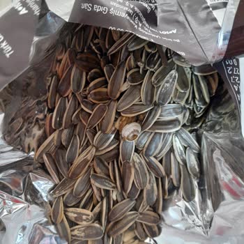 A101 Çerezya Kuruyemiş Markadan Çıkan Sümüklü Böcek