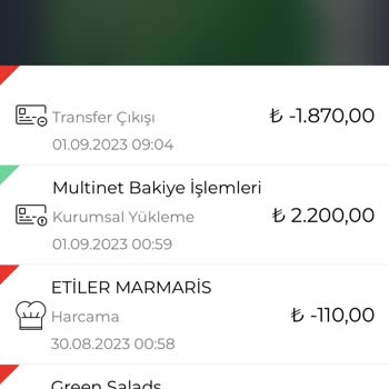 Multinet Yatan Paranın Aynı Gün Büyük Kısmının Geri Çekilmesi.