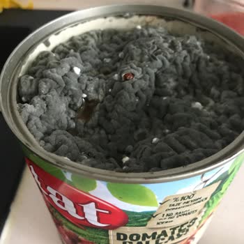 Migros Tat Domates Salçası