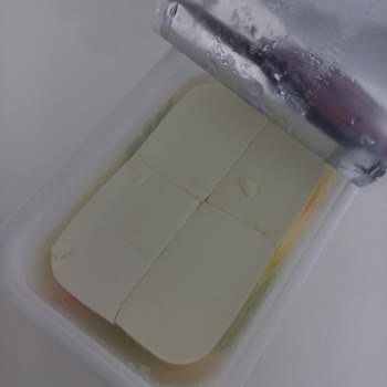 Mis Beyaz Peynir Jelatin Açık Kötü Kokuyor Kararmış