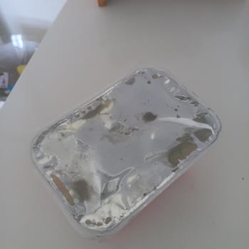 Mis Beyaz Peynir Jelatin Açık Kötü Kokuyor Kararmış