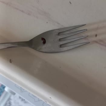 İndomie Noddle İçerisinden Değişik Bir Şey Çıktı