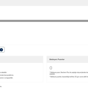 Skechers Plus Puan Mağduriyeti Hk.