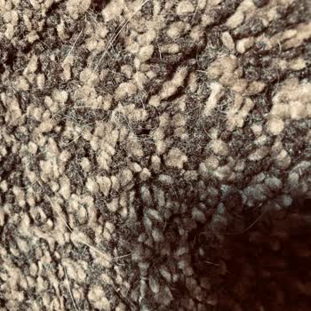 Sistempak Koltuk Ve Halı Yıkama Islak Halı Ve Kirli Halı