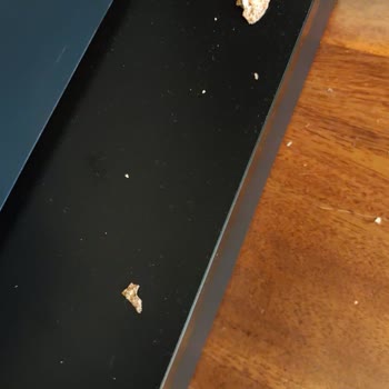 Yataş Enza Home-Yataş 1,5 Aydır Temin Edilemeyen Gardırop Kapağı