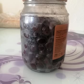 Kaanlar Zehir Gibi Acımış Siyah Zeytin