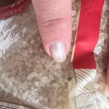 Tat Gıda Açılmamış Paket İçinde Böceklenme